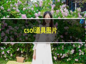 csol道具图片