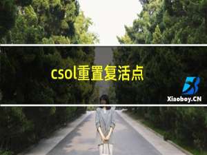 csol重置复活点