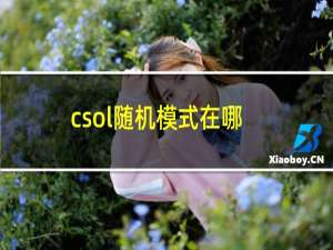 csol随机模式在哪