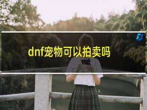 dnf宠物可以拍卖吗