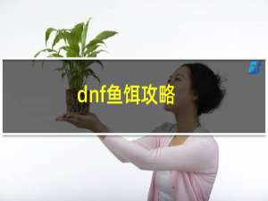 dnf鱼饵攻略