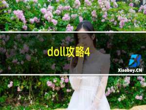 doll攻略4