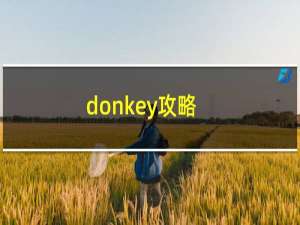 donkey攻略