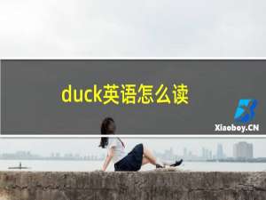 duck英语怎么读