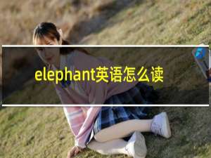 elephant英语怎么读
