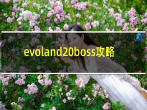 evoland boss攻略