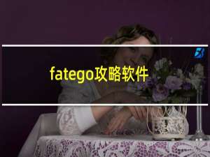 fatego攻略软件