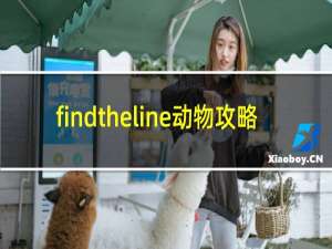 findtheline动物攻略