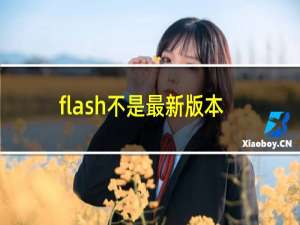 flash不是最新版本