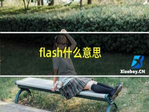 flash什么意思?