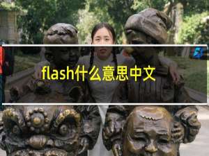 flash什么意思中文