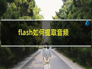 flash如何提取音频