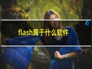 flash属于什么软件