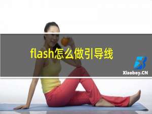 flash怎么做引导线