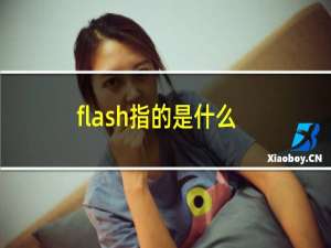 flash指的是什么