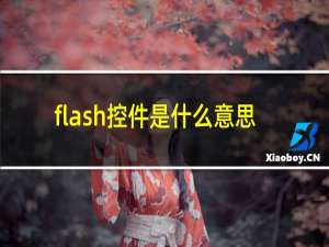 flash控件是什么意思