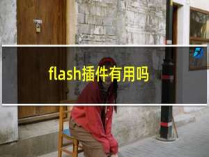 flash插件有用吗