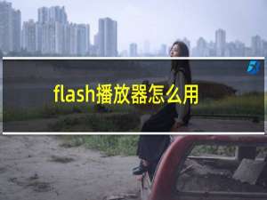 flash播放器怎么用