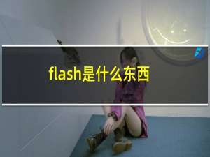 flash是什么东西
