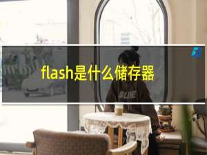 flash是什么储存器