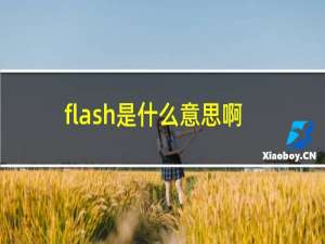 flash是什么意思啊