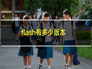 flash有多少版本