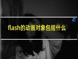 flash的动画对象包括什么