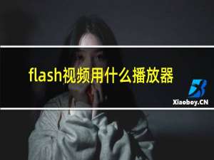 flash视频用什么播放器