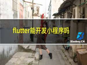 flutter能开发小程序吗