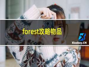forest攻略物品