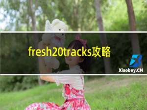 fresh tracks攻略