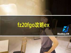 fz fgo攻略ex