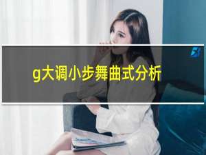 g大调小步舞曲式分析