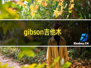 gibson吉他木