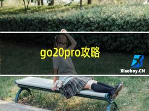 go pro攻略