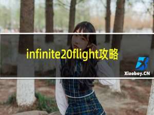 infinite flight攻略