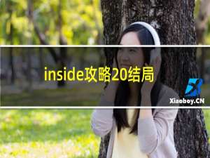 inside攻略 结局