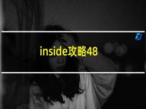 inside攻略48