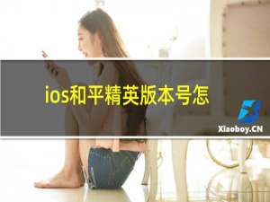 ios和平精英版本号怎么看