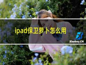 ipad保卫萝卜怎么用