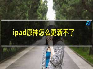 ipad原神怎么更新不了