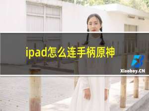 ipad怎么连手柄原神