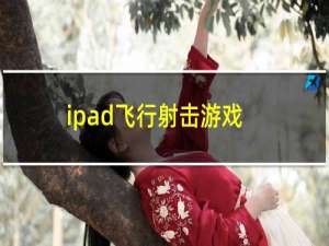 ipad飞行射击游戏