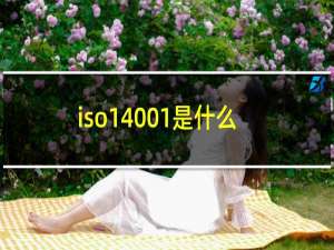 iso14001是什么标准