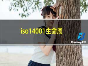 iso14001生命周期