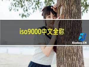 iso9000中文全称