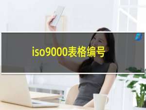 iso9000表格编号