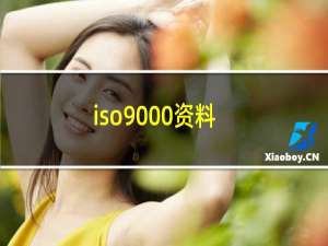 iso9000资料