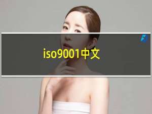 iso9001中文