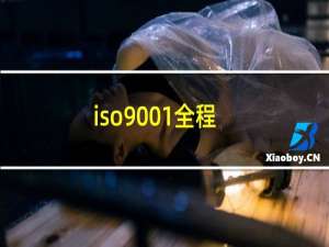 iso9001全程